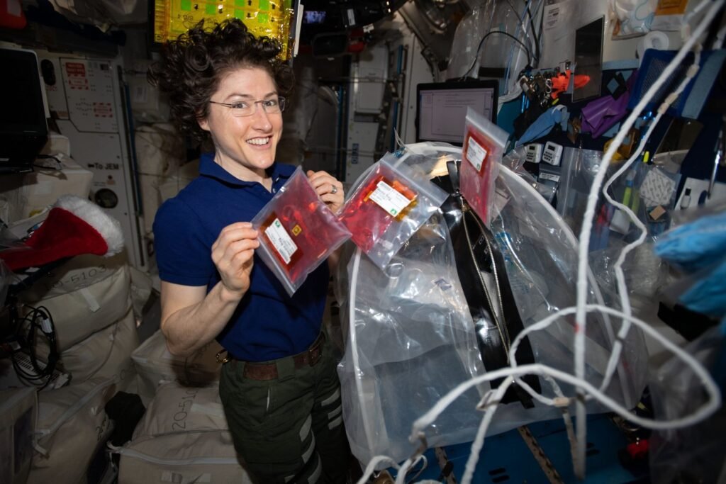 Manufacturing of Human Organs by NASA Astronauts in Space