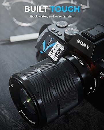 Scheda SD 512GB