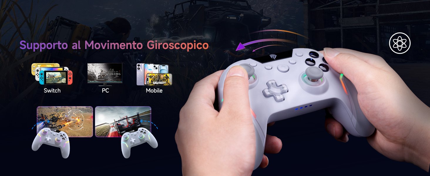 Supporto al Movimento Giroscopico