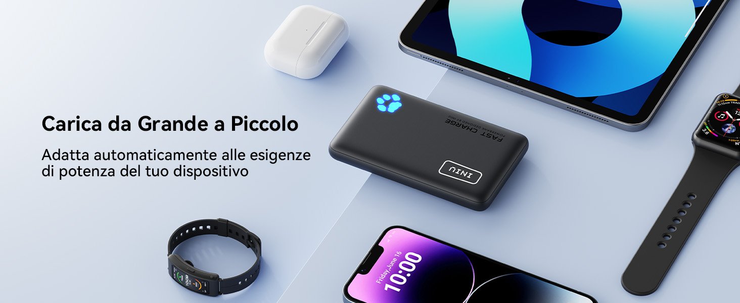 iniu power bank