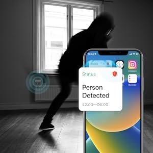 alert