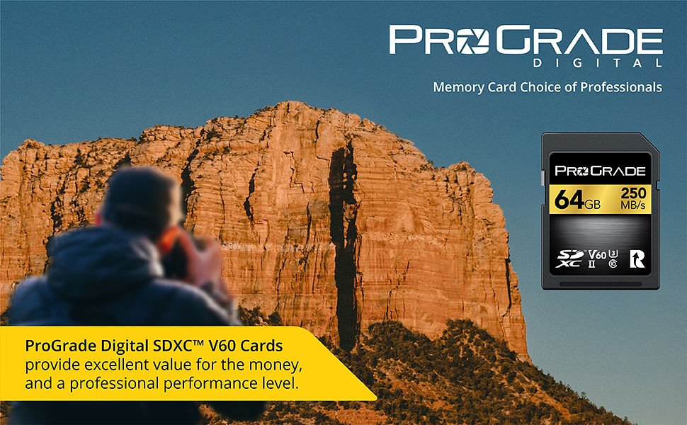 Schede di memoria SD V60.
