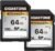 GIGASTONE Scheda di Memoria SDXC 64 GB, Set da 2, 4K Camera Pro, Velocità 100 MB/s per Fotocamera Canon Nikon Sony Panasonic, A1 V30 U3 UHS-I Classe 10 per 4K UHD Video, con 2 mini custodie