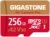 [5 Anni Recupero Dati Gratuito] GIGASTONE 256 GB Scheda di Memoria, Camera Pro, Velocità fino a 100/60 MB/s, per Gopro, DJI, Insta360, 4K Video, A2 V30 U3 MicroSDXC con Adattatore